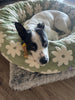 WOOFWAYZ Flower Pedal Calming Bed