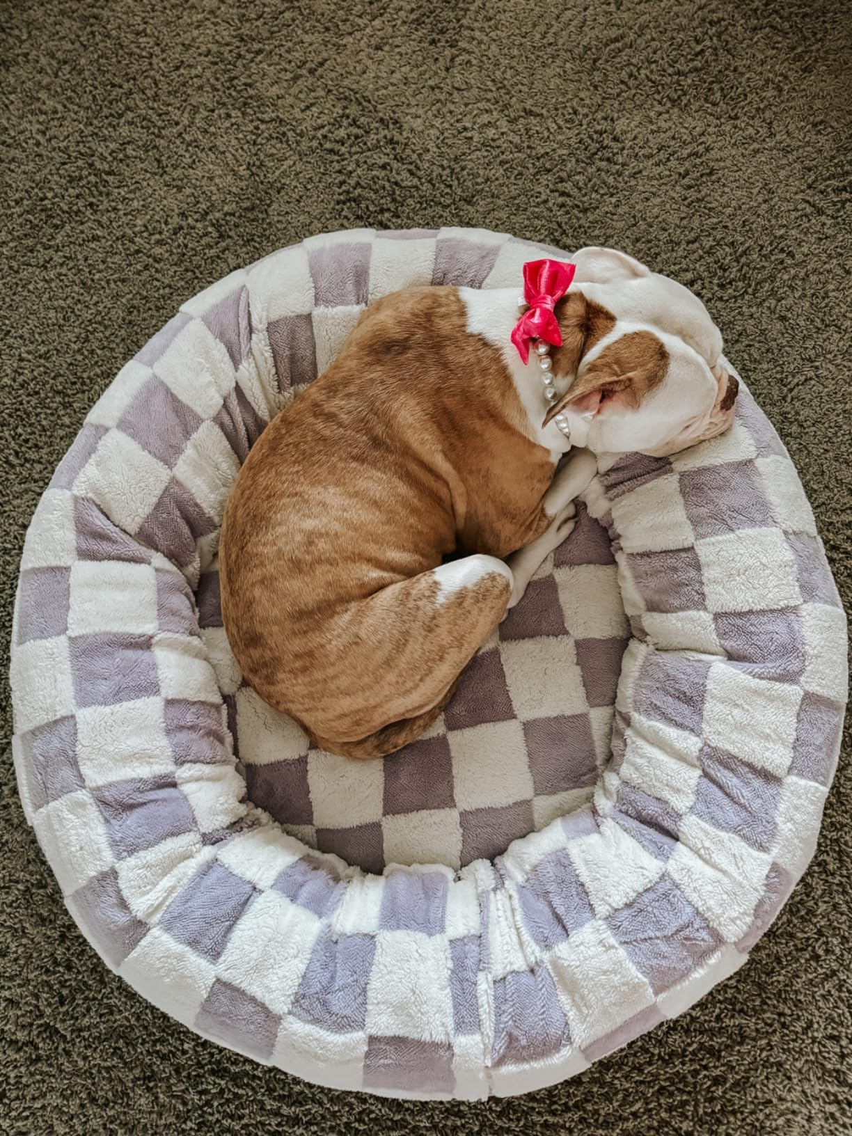 WOOFWAYZ Lavender Checkered Calming Bed