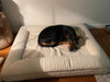 WOOFWAYZ Boucle Bed