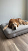 WOOFWAYZ Boucle Bed