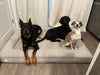 WOOFWAYZ Boucle Bed