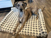WOOFWAYZ ORTHOPETHIC BED