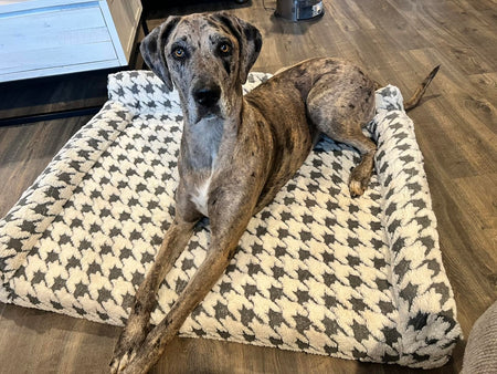 WOOFWAYZ ORTHOPETHIC BED