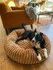 WOOFWAYZ Corduroy Bed