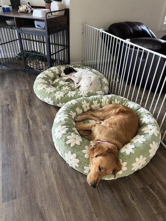 WOOFWAYZ Flower Pedal Calming Bed
