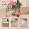 WOOFWAYZ Cativate Rolling Ball
