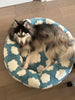 ☁️ WOOFWAYZ Cloud Bed ☁️