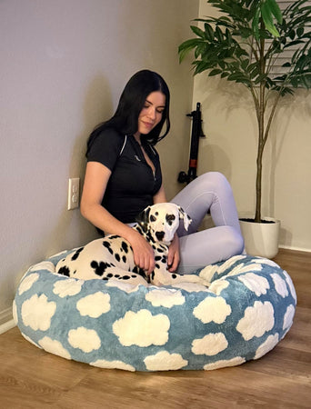 ☁️ WOOFWAYZ Cloud Bed ☁️