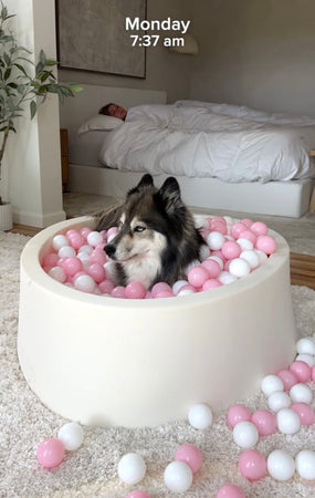 WOOFWAYZ Ball Pit