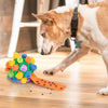 Sniffing Ball Puzzle