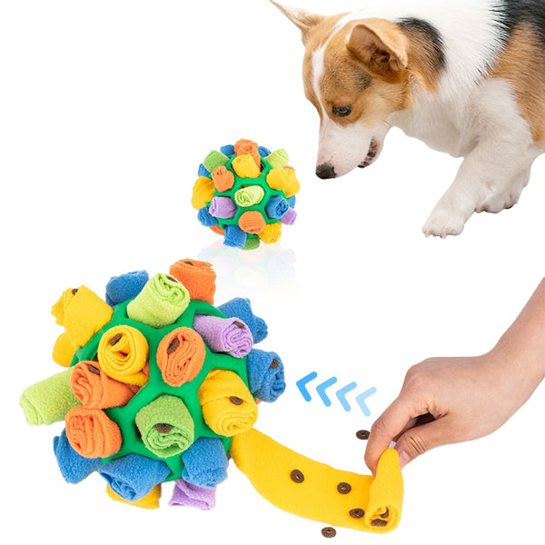 Sniffing Ball Puzzle