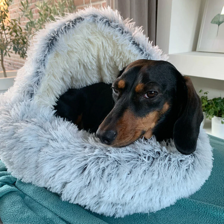 WOOFWAYZ Cave