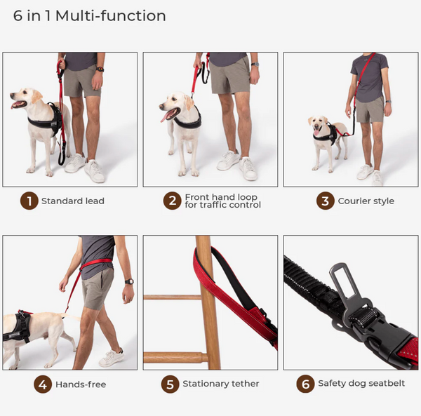 Multifunction Hands Free Dog Leash With Safety Seat Belt