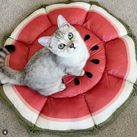 WOOFWAYZ Watermelon Mat