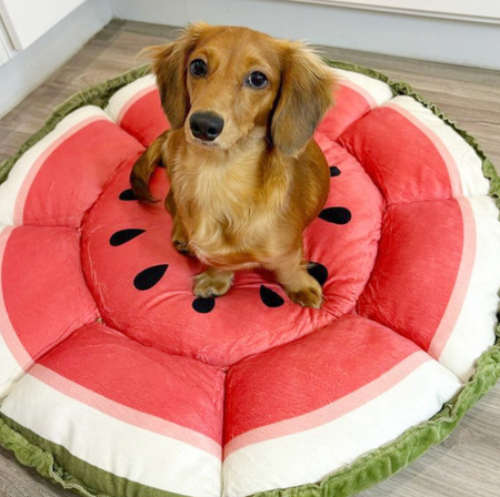 WOOFWAYZ Watermelon Mat