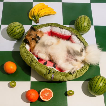WOOFWAYZ Watermelon Mat
