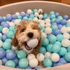 WOOFWAYZ Ball Pit