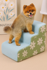 WOOFWAYZ Flower Stairs
