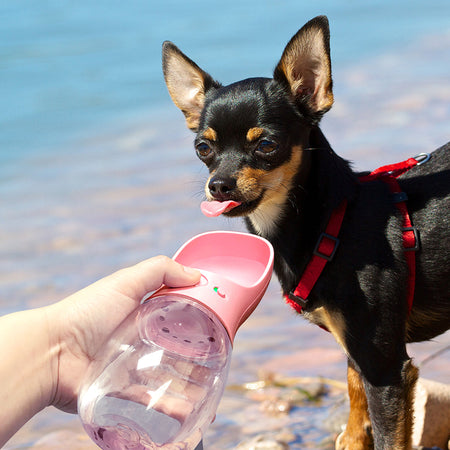 Portable Dog Water Dispenser