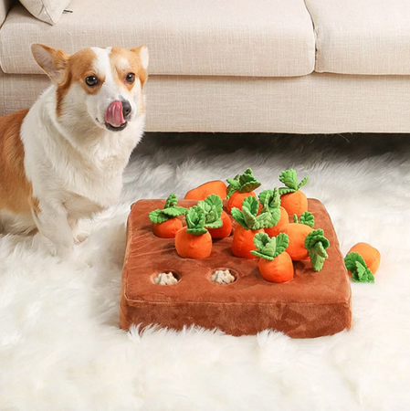 WOOFWAYZ'S CARROT FARM