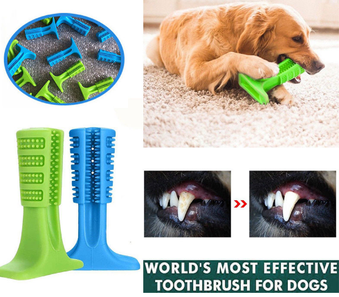 Effective dog outlet toothbrush