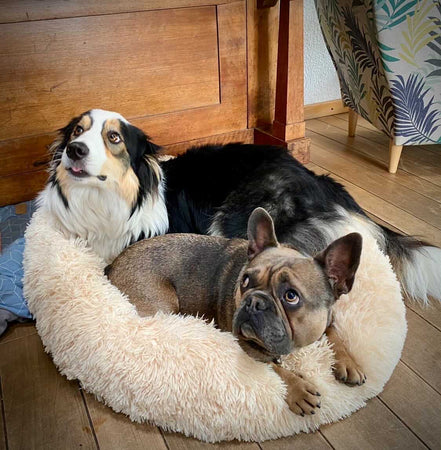 WOOFWAYZ™ CALMING BED©