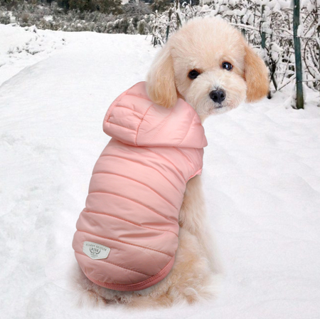 Dog Warm Winter/Spring Coat